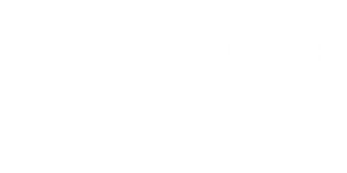 FINTECH GLOBAL